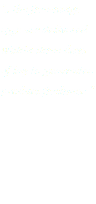 "...the free-range eggs are delivered within three days of lay to guarantee product freshness." 